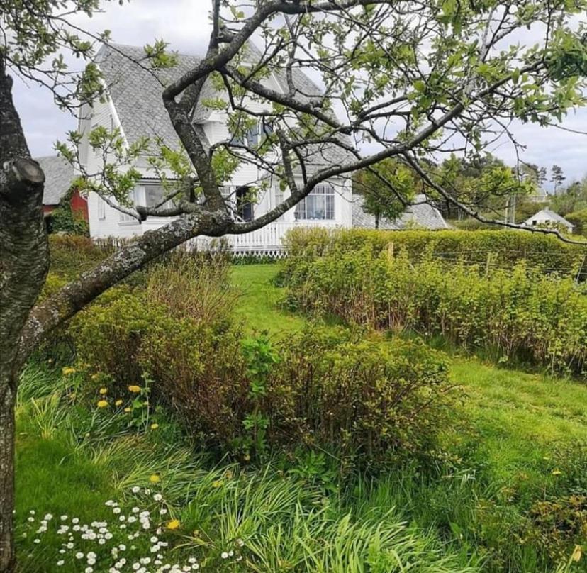 Shared Farmhouse Stavanger Kültér fotó